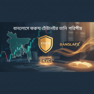 বাংলাদেশে ফরেক্স ট্রেডিং: আইনি কাঠামো, কাজের পদ্ধতি ও নিরাপদ অংশগ্রহণের প্র্যাকটিক্যাল গাইড — রাত জেগে চার্ট ও লিভারেজ নিয়ে পরিকল্পনার জন্য প্রয়োজনীয় তথ্য।